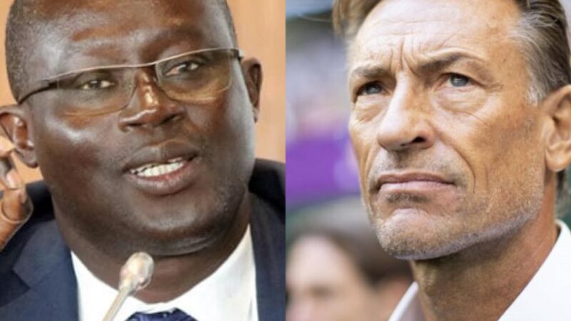 Retrait de son « dossier » pour coacher les Lions : Me Augustin Senghor corrige Hervé Renard