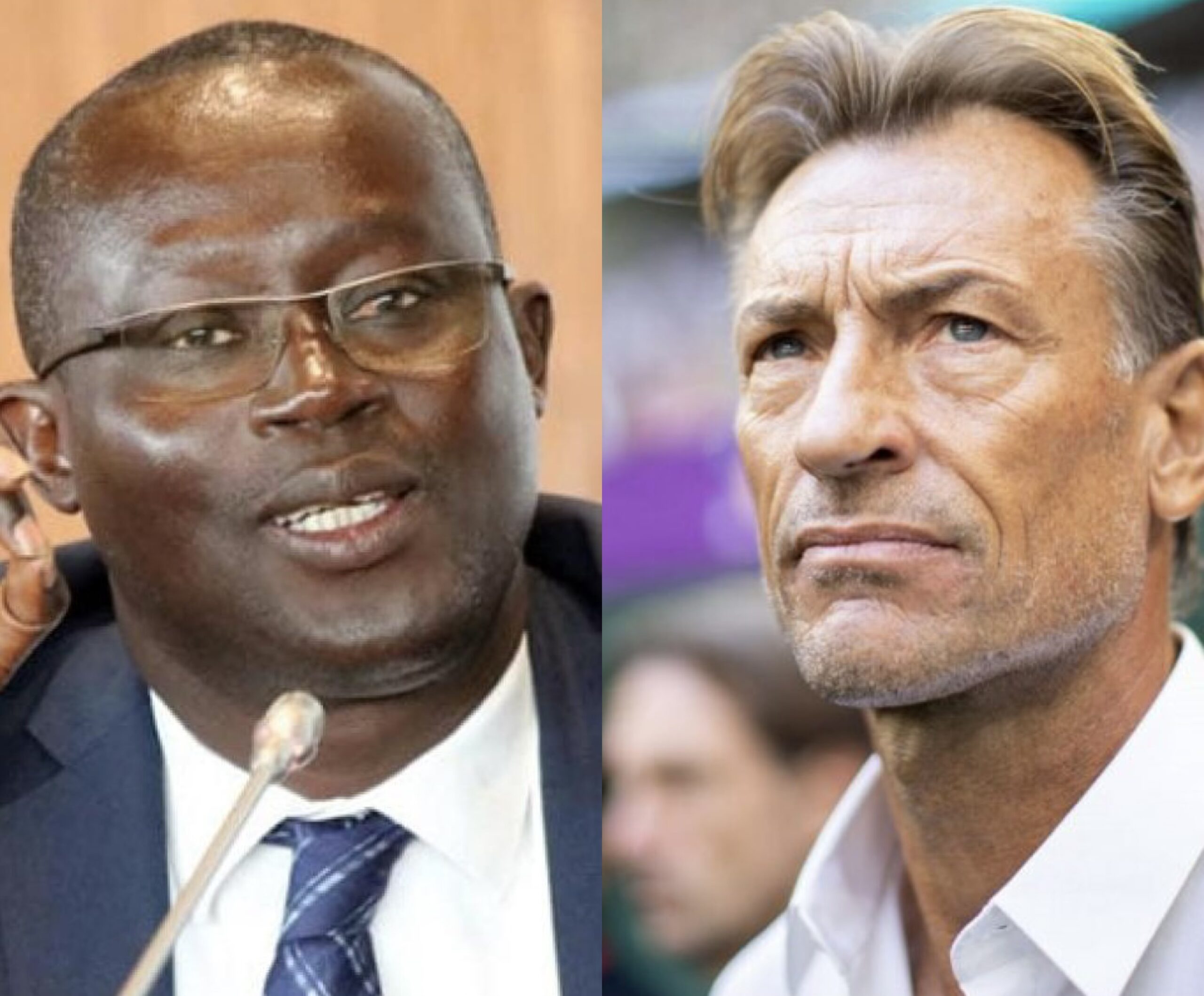 Retrait de son « dossier » pour coacher les Lions : Me Augustin Senghor corrige Hervé Renard